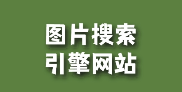 如何设计一个高效实用的网站内搜索功能？